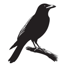 Fototapeta premium silhouettes of birds,bird, silhouette, animal, nature, illustration, vector, birds, crow, black, isolated, beak, bullfinch, branch, wildlife, white, wing, raven, feather, winter, cartoon, art, fly, tr