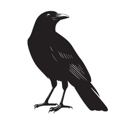 silhouettes of birds,bird, silhouette, animal, nature, illustration, vector, birds, crow, black, isolated, beak, bullfinch, branch, wildlife, white, wing, raven, feather, winter, cartoon, art, fly, tr