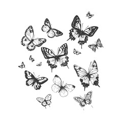 A Black and White Sketch of Butterflies in Flight