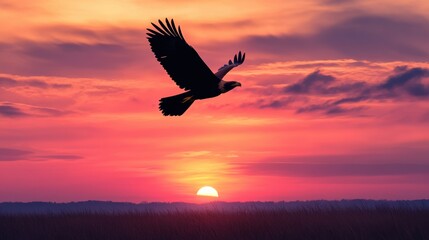 Fototapeta premium Majestic Bird in Flight Against Sunset Sky