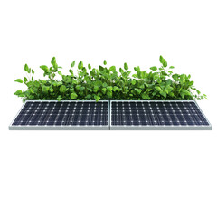 Solar panel with plants growing isolated white background stock photo PNG format.