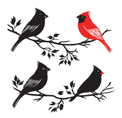 silhouettes of birds,bird, silhouette, animal, nature, illustration, vector, birds, crow, black, isolated, beak, bullfinch, branch, wildlife, white, wing, raven, feather, winter, cartoon, art, fly, tr