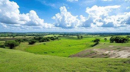 Serene Landscape of Lush Green Fields and Clouds