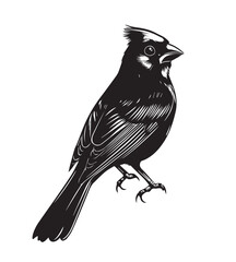 Obraz premium silhouettes of birds,bird, silhouette, animal, nature, illustration, vector, birds, crow, black, isolated, beak, bullfinch, branch, wildlife, white, wing, raven, feather, winter, cartoon, art, fly, tr