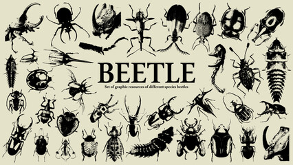 Beetle set of graphic resources. Photocopy and halftone effect for grunge, punk, y2k, pulp, pop collage, poster, tshirt design. Vector illustration with elements on separate background.