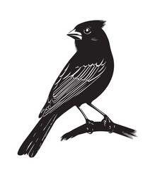 silhouettes of birds,bird, silhouette, animal, nature, illustration, vector, birds, crow, black, isolated, beak, bullfinch, branch, wildlife, white, wing, raven, feather, winter, cartoon, art, fly, tr