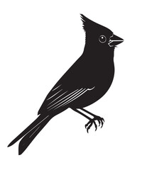 silhouettes of birds,bird, silhouette, animal, nature, illustration, vector, birds, crow, black, isolated, beak, bullfinch, branch, wildlife, white, wing, raven, feather, winter, cartoon, art, fly, tr