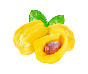 jackfruit transparent png