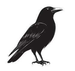 silhouettes of birds,bird, silhouette, animal, nature, illustration, vector, birds, crow, black, isolated, beak, bullfinch, branch, wildlife, white, wing, raven, feather, winter, cartoon, art, fly, tr