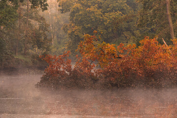 Jesień w parku w Pszczynie, Śląsk. © Elżbieta Kaps