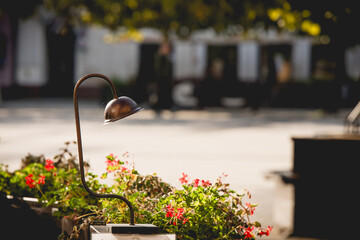 Rynek w Pszczynie Śląsk, jesienny poranek.  © Elżbieta Kaps