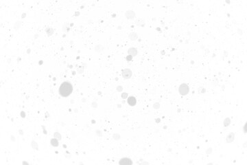 snow  on the transparent backgrounds