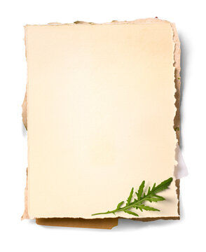 Art Italian home restaurant old recipe background; old paper texture on transparent background