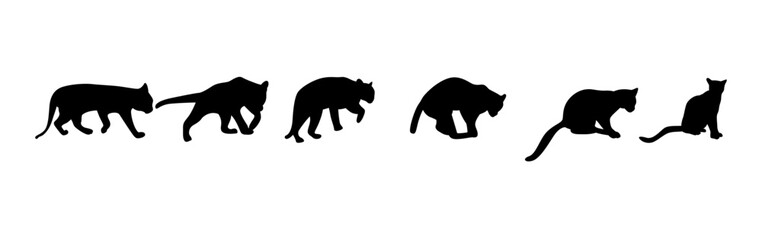 silhouette of a margay on a white vector set of silhouettes of animals