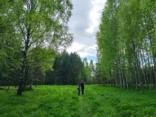 A girl walks with her bike down a forest path along a green meadow and trees.