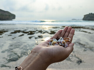 Shards of sea creature shells in the hands of a happy girl on the beach, Sea background