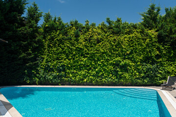 A swimming pool among green trees