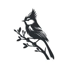 Cute bird silhouette illustration on a white background