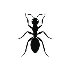 Black ant vector illustration on white background