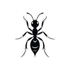 Black ant vector illustration on white background