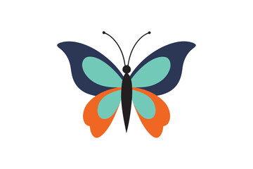  Butterfly vector illustration