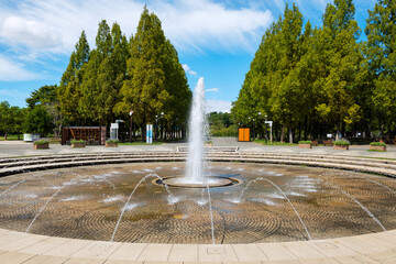 花博記念公園鶴見緑地の風景