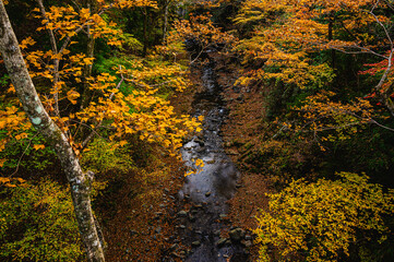 Obraz premium 秋の鹿教湯温泉 散策