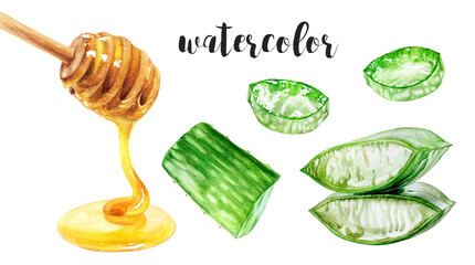 Hand-Painted Watercolor Honey Dipper with Dripping Honey and Aloe Botanical Illustration
