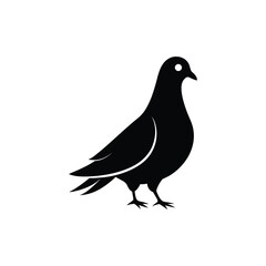 Pigeon silhouette vector illustration