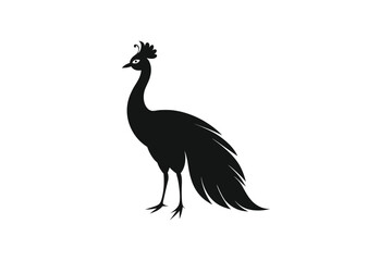 Peacock silhouette vector 