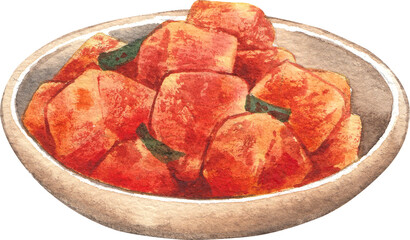Kimchi, hand-drawn watercolor.painting illustration