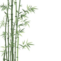 Elegant bamboo stalks with lush green leaves, perfect for nature-themed designs and serene backgrounds.