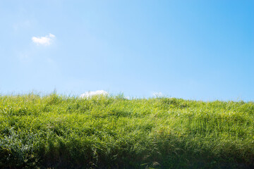 Fototapeta premium 堤防の風景