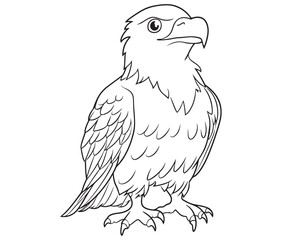 Illustration of an eagle, Hawk vector, Outline eagle vector