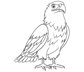 Illustration of an eagle, Hawk vector, Outline eagle vector