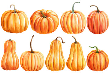 Set orange pumpkins isolated white background, autumn vegetable watercolor illustration, Hand painted pumpkin clip art