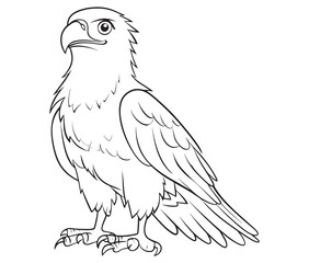Illustration of an eagle, Hawk vector, Outline eagle vector