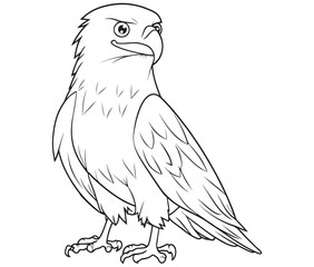 Illustration of an eagle, Hawk vector, Outline eagle vector