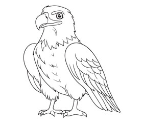 Illustration of an eagle, Hawk vector, Outline eagle vector