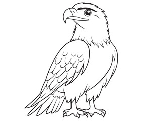 Illustration of an eagle, Hawk vector, Outline eagle vector