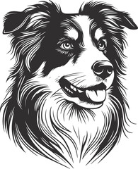 Fototapeta premium Australian Shepherd silhouette, illustration white background