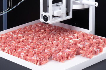 Artificial ground meat from stem cells produced in the laboratory AI generative