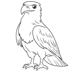 Illustration of an eagle, Hawk vector, Outline eagle vector