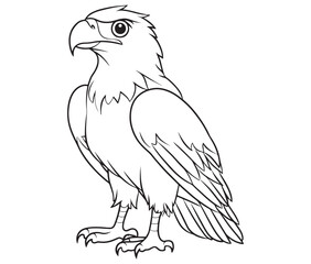 Fototapeta premium Illustration of an eagle, Hawk vector, Outline eagle vector