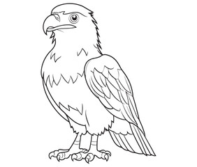 Illustration of an eagle, Hawk vector, Outline eagle vector