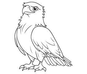 Illustration of an eagle, Hawk vector, Outline eagle vector
