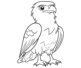 Illustration of an eagle, Hawk vector, Outline eagle vector