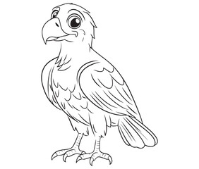 Illustration of an eagle, Hawk vector, Outline eagle vector