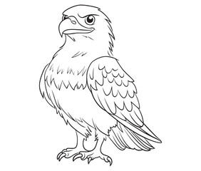 Obraz premium Illustration of an eagle, Hawk vector, Outline eagle vector
