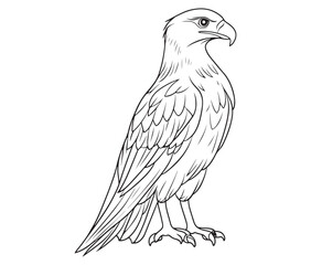 Illustration of an eagle, Hawk vector, Outline eagle vector